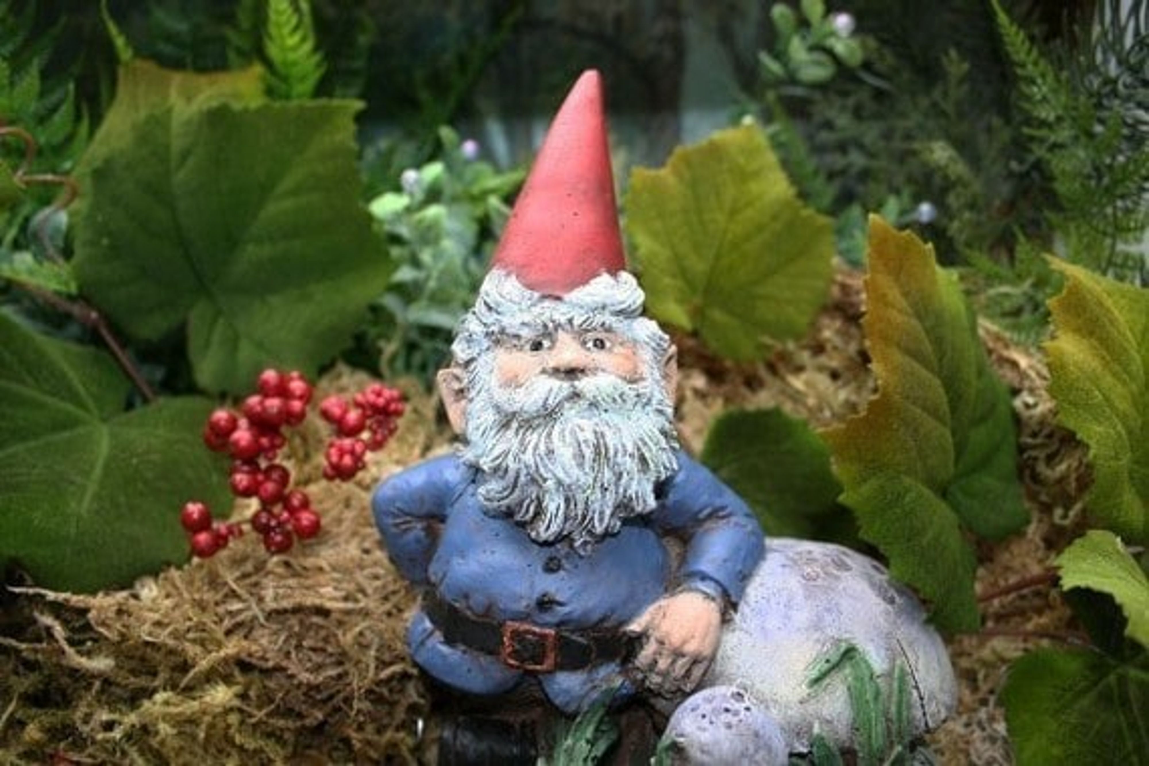 What Landscape Lighting Does for Your Home & Your Gnome