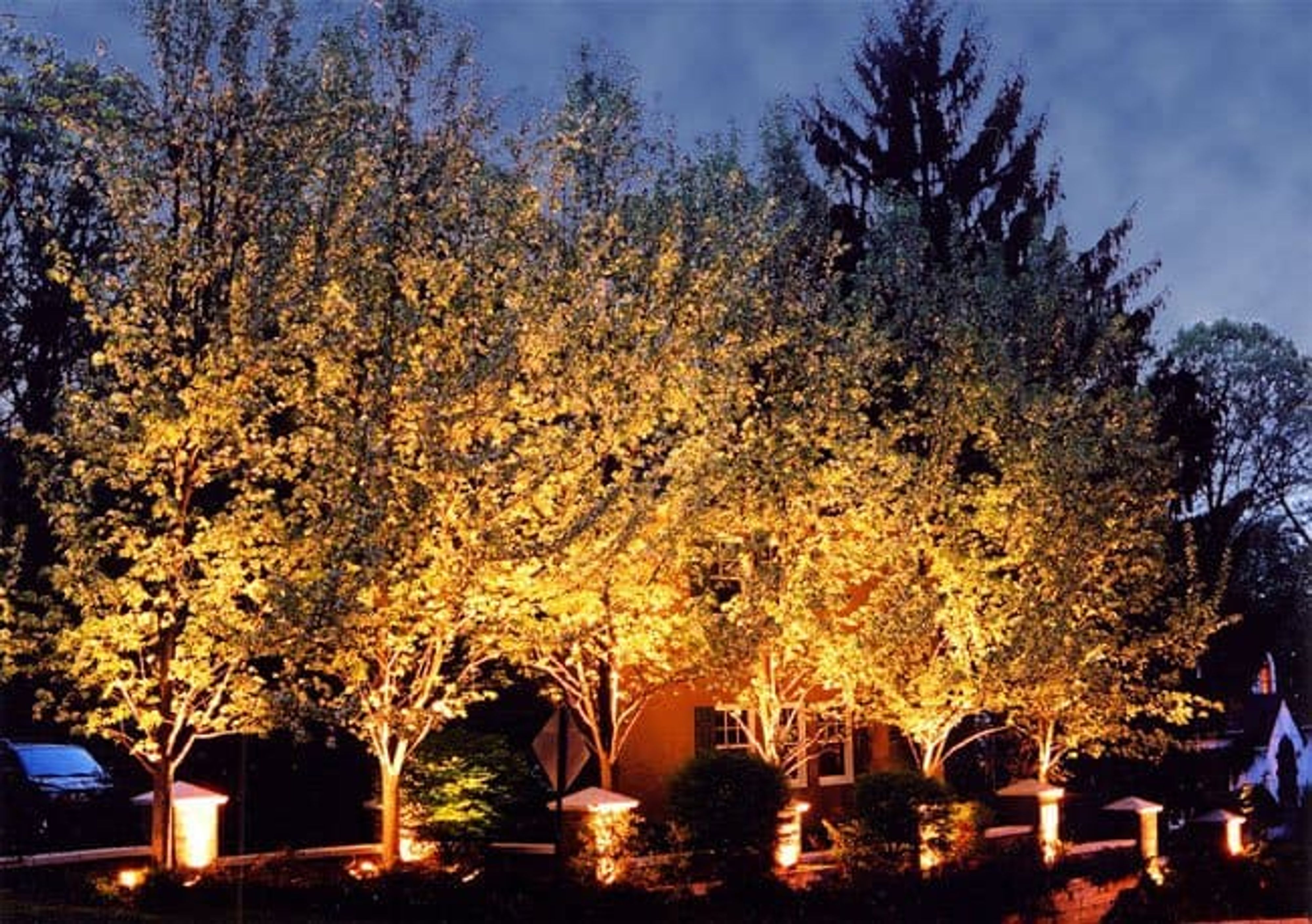 Artistic Landscape Lighting – 3 Key Points