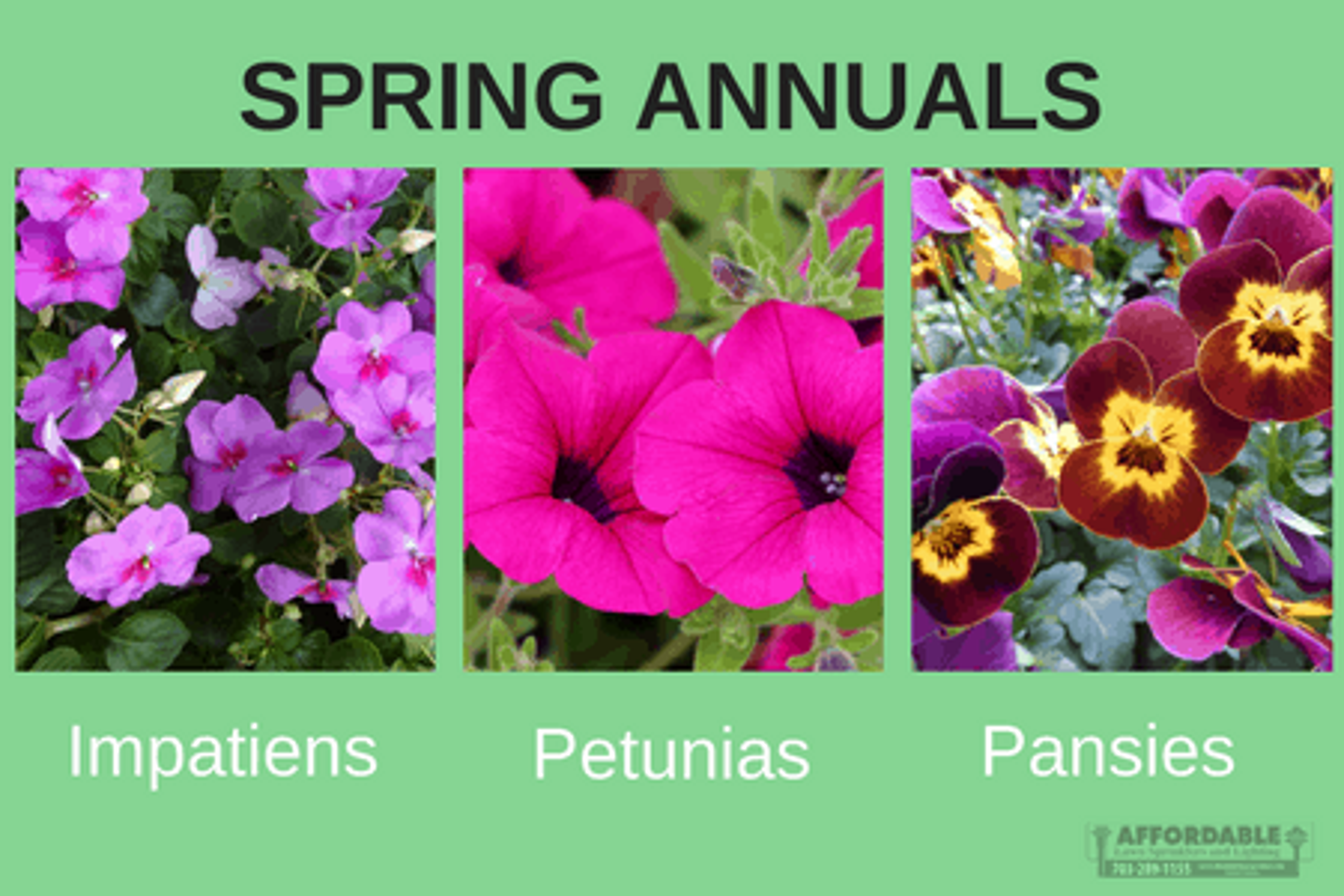 Is Your Northern Virginia Lawn Ready for Spring?
