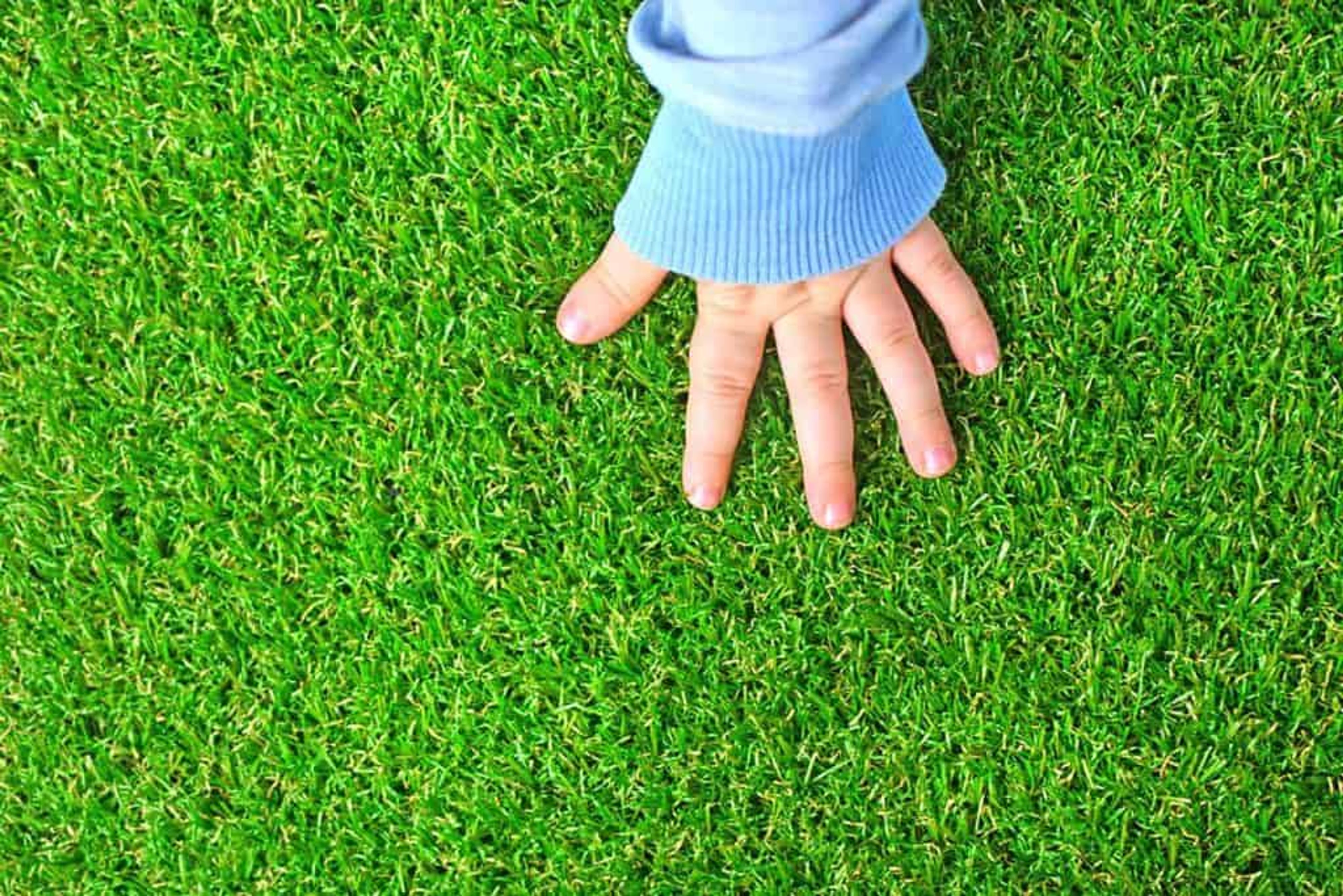 Unraveling the Mysteries of Artificial Turf: Your Top Questions Answered