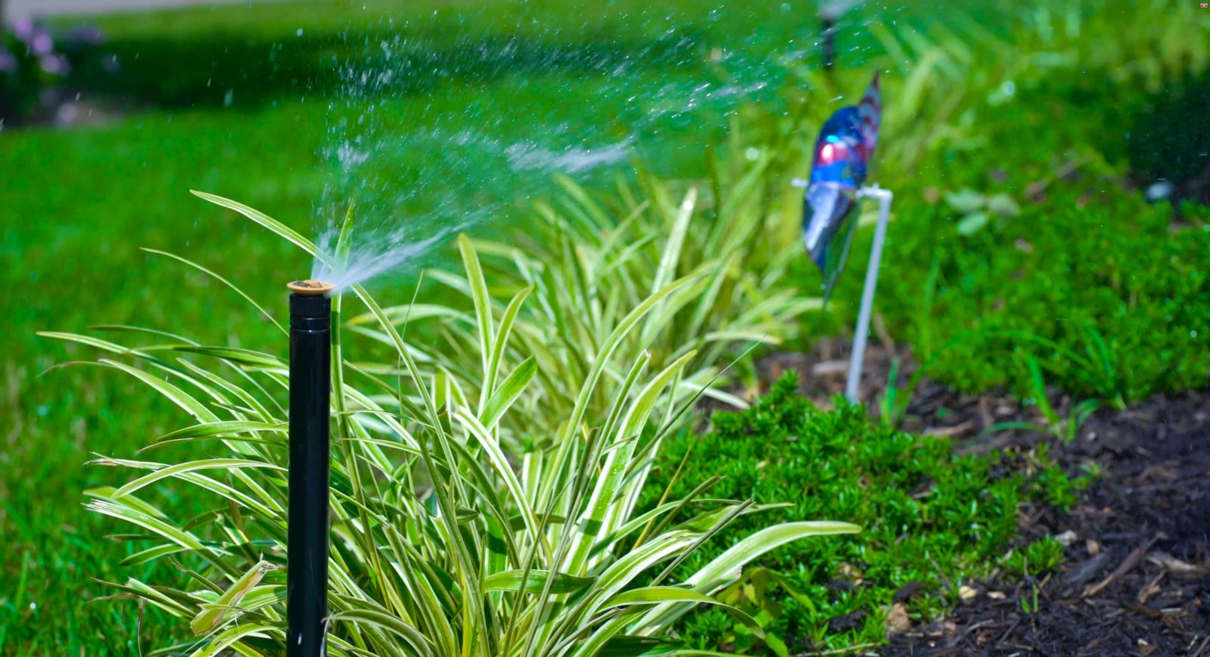 5 Key Points in Choosing a Sprinkler Contractor