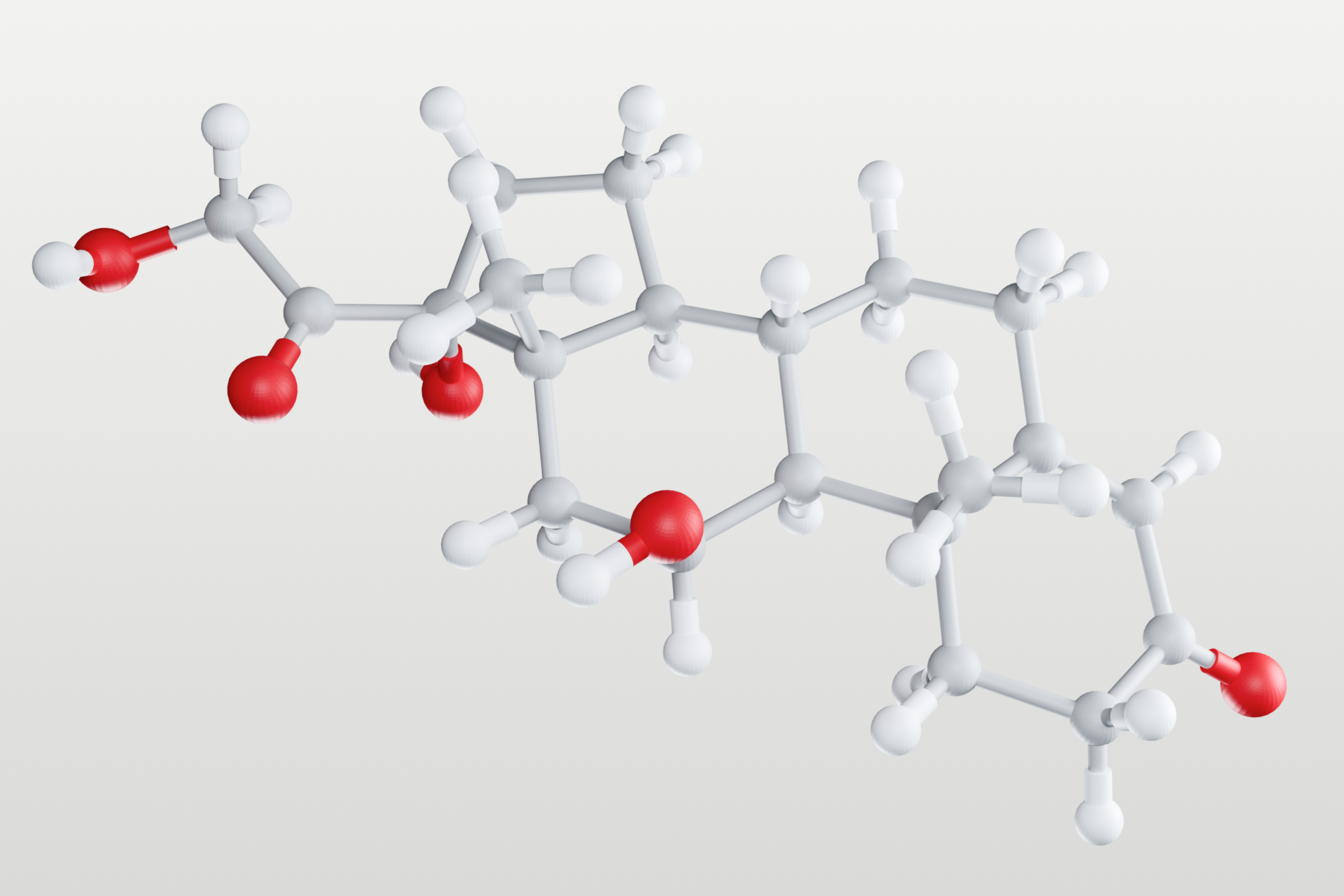 cortisol molecule