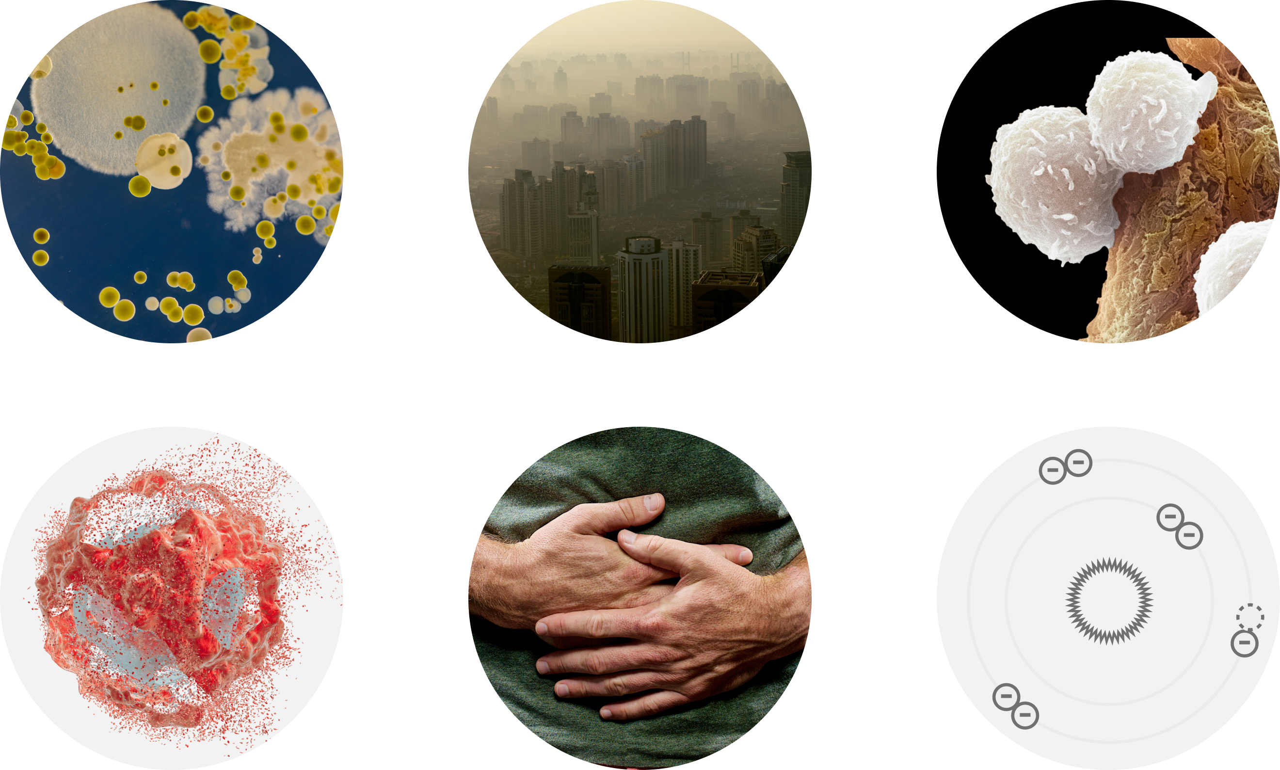 Casues of chronic inflammation