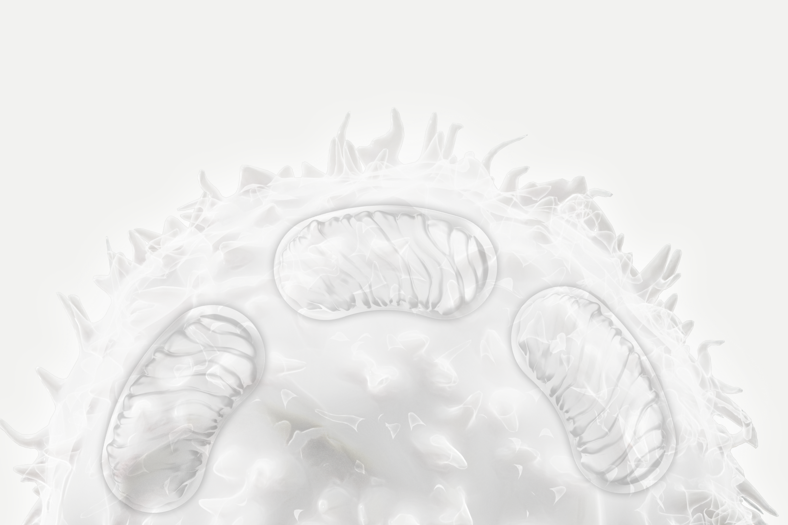 3d T-cell with mitochondrias