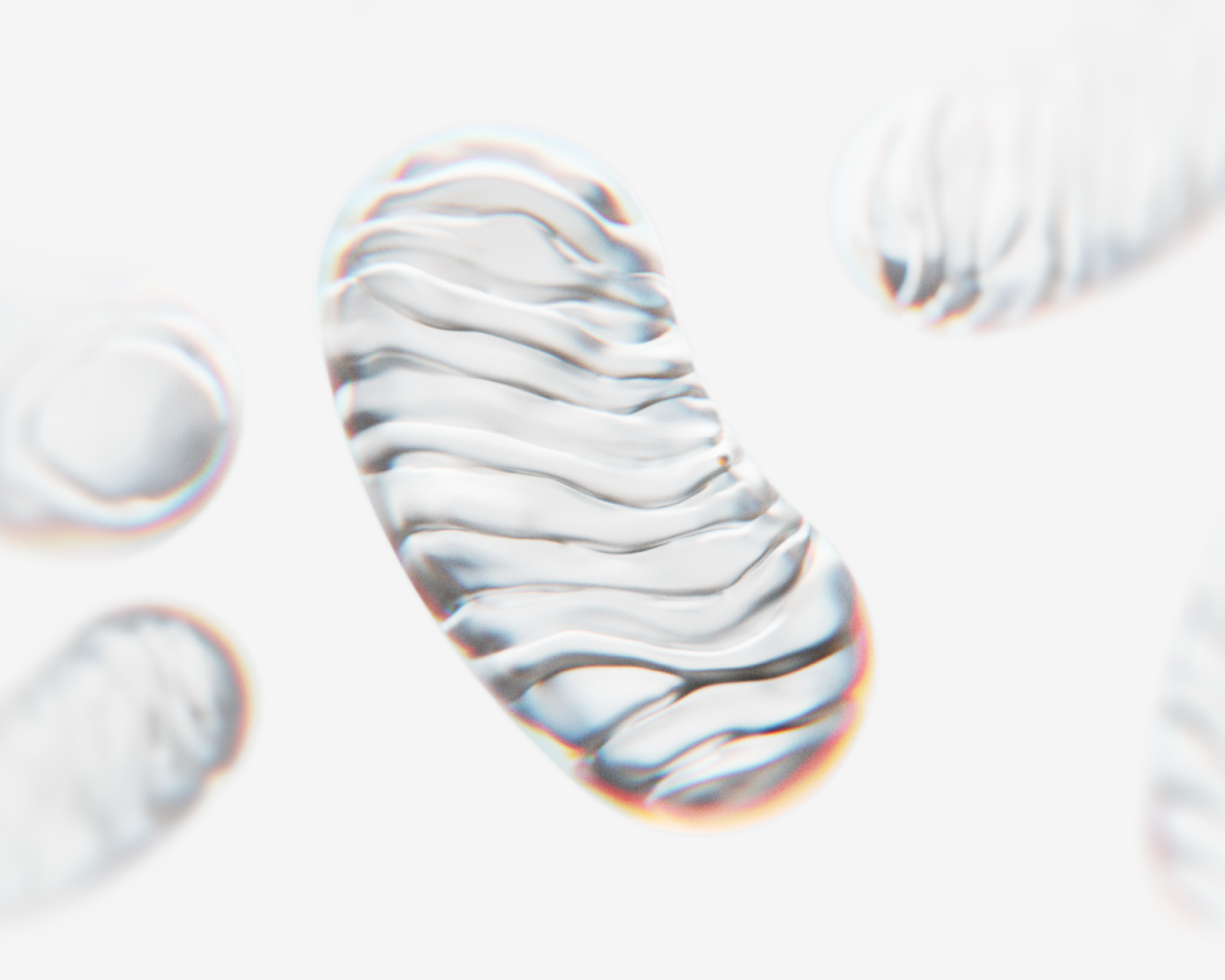 Mitochondria