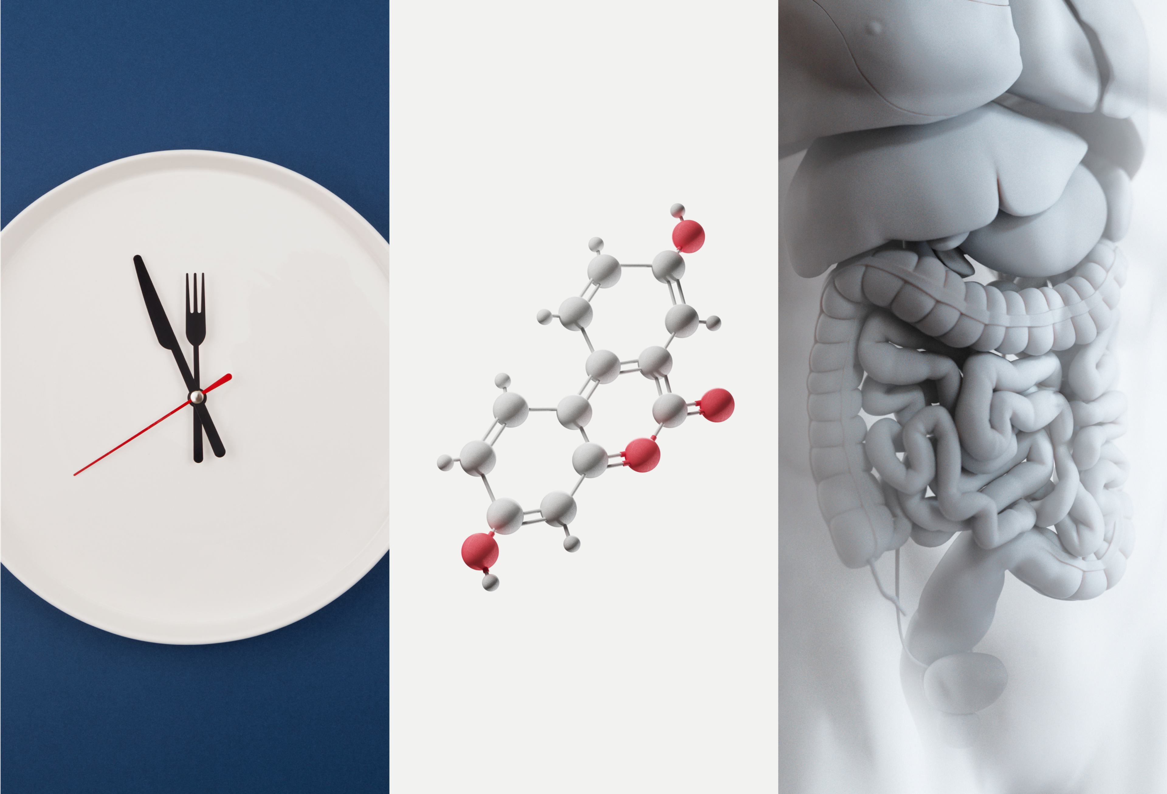 Ways to induce autophagy