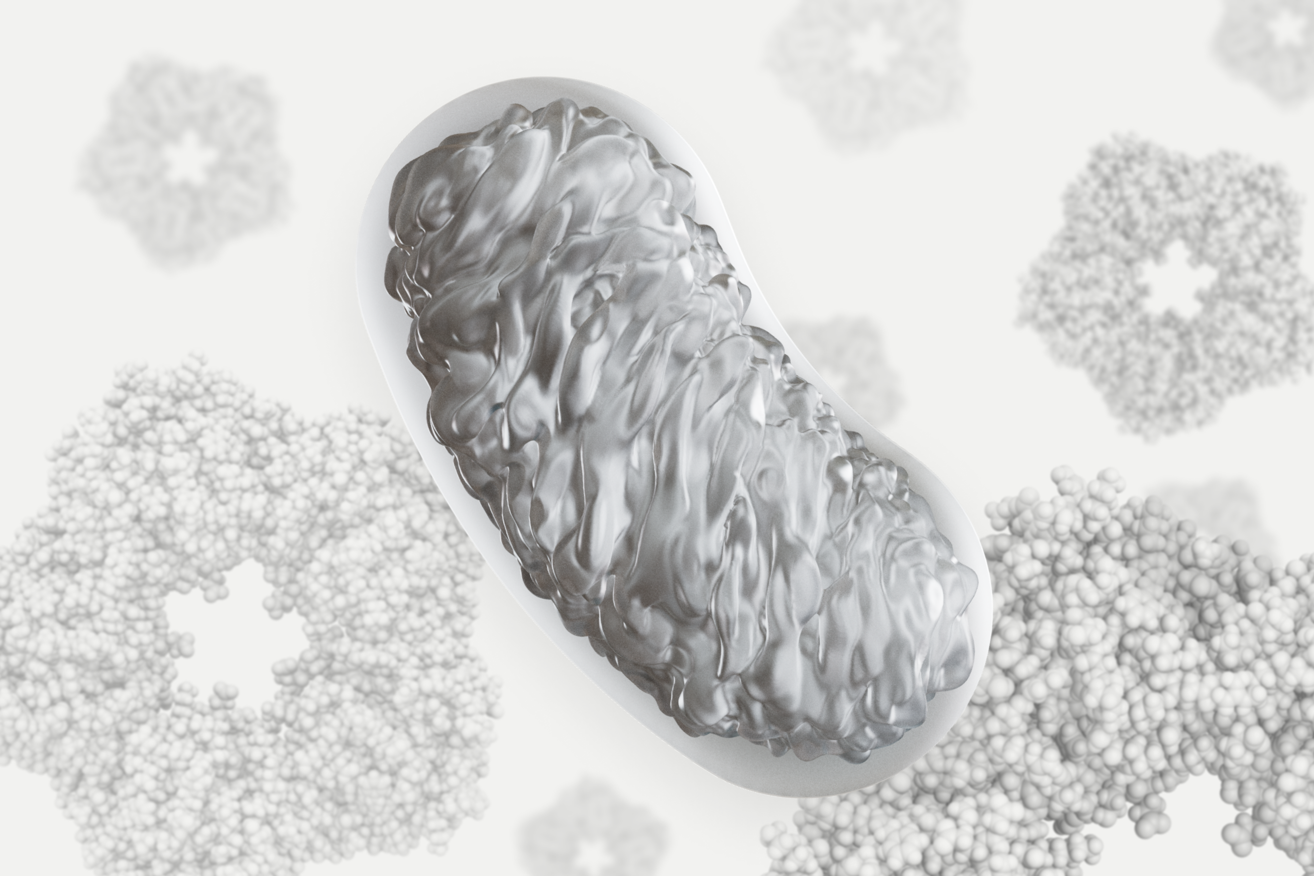 Bad mitochondria + CRP molecules