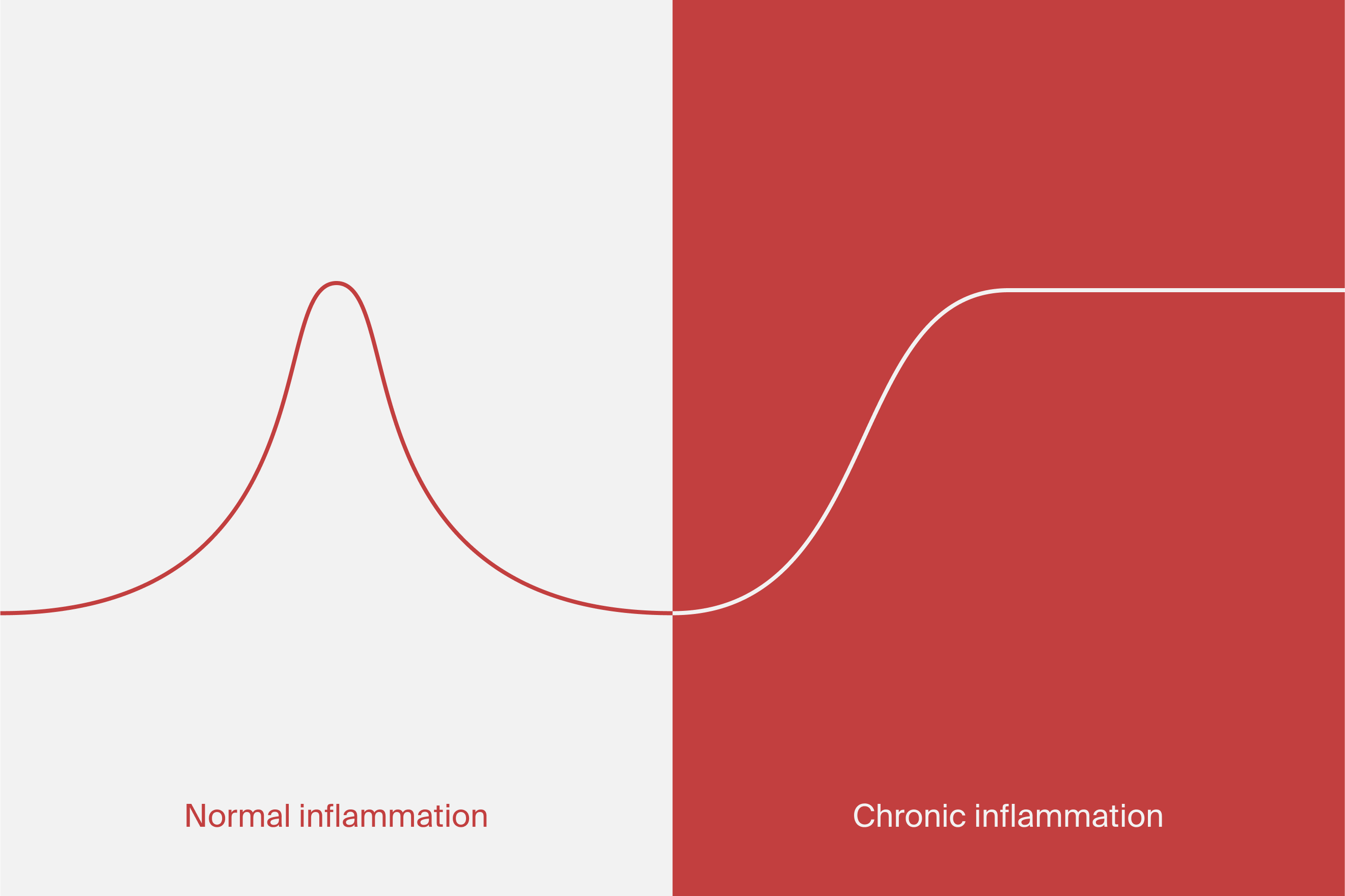 Normal inflammation versus chronic inflammation
