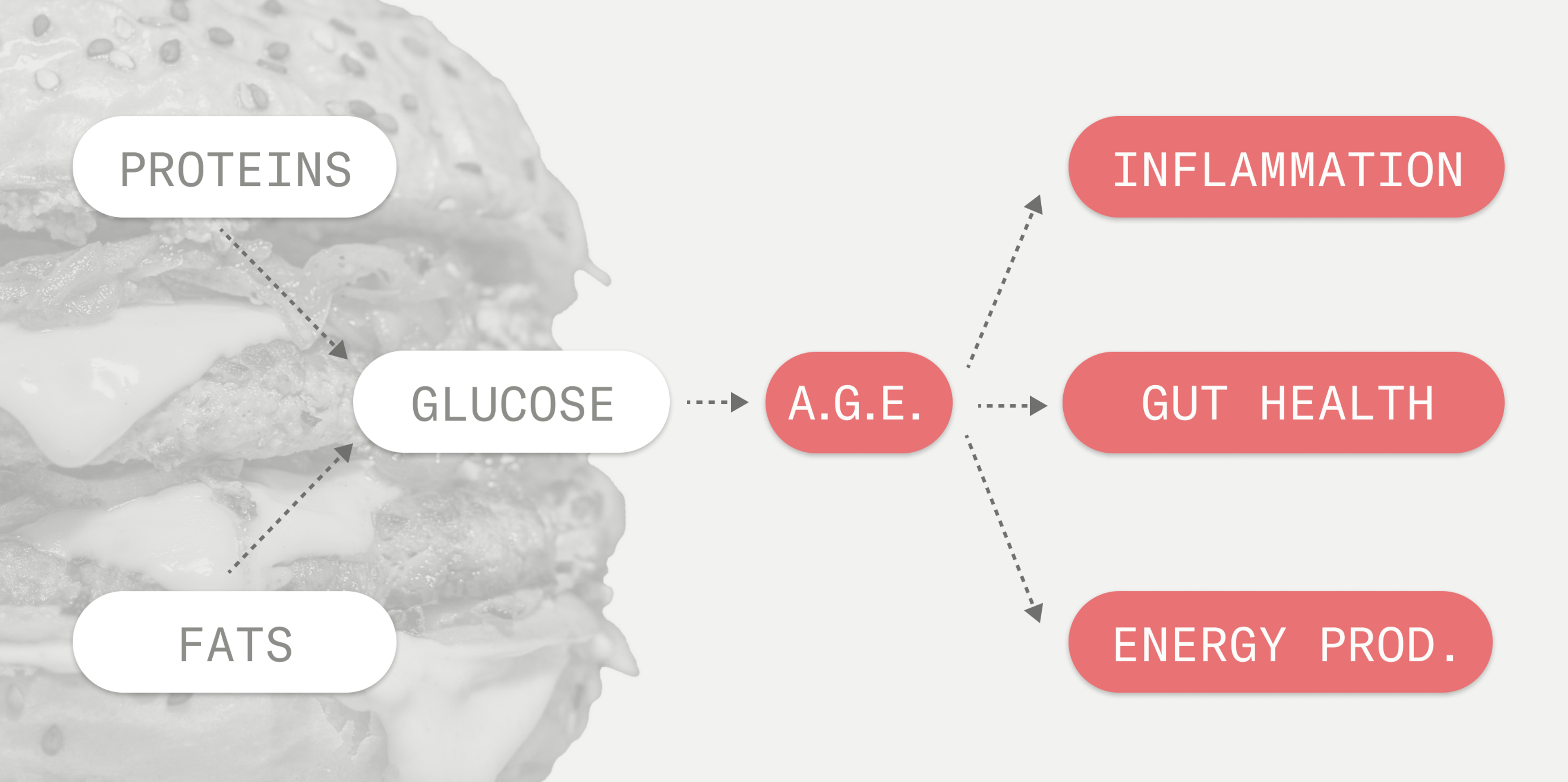 Synthesis and effects of high levels of AGEs