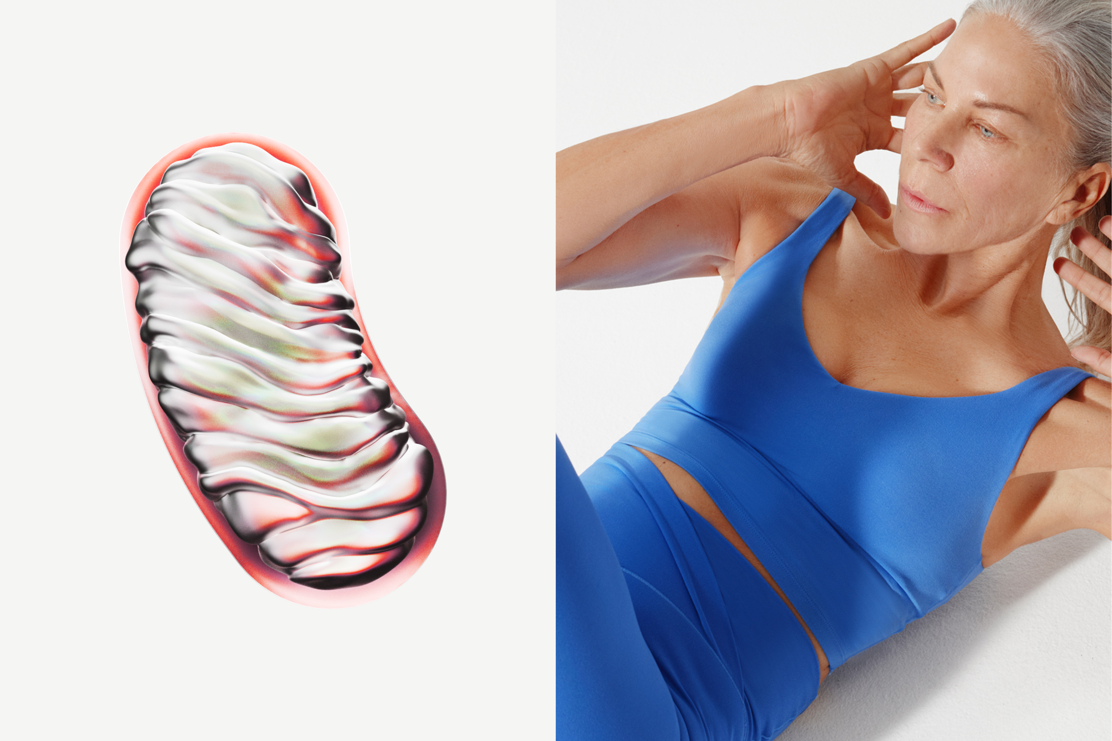 Mitochondria and an elder person exercising