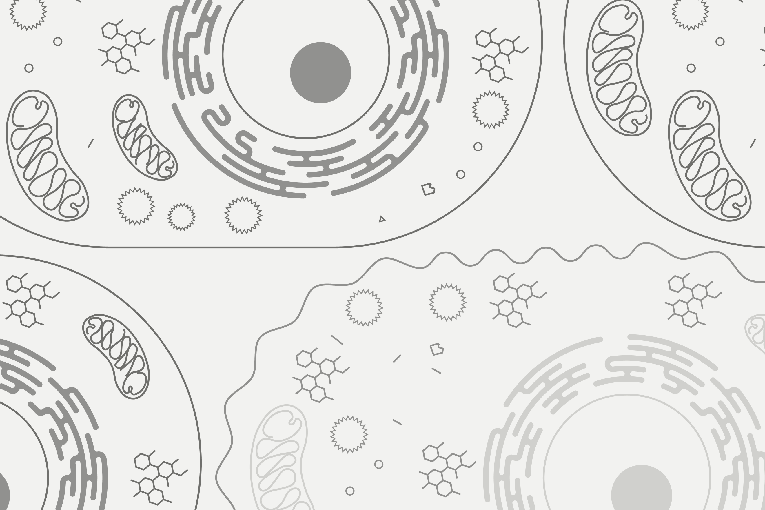 Illustration of a senescent cell