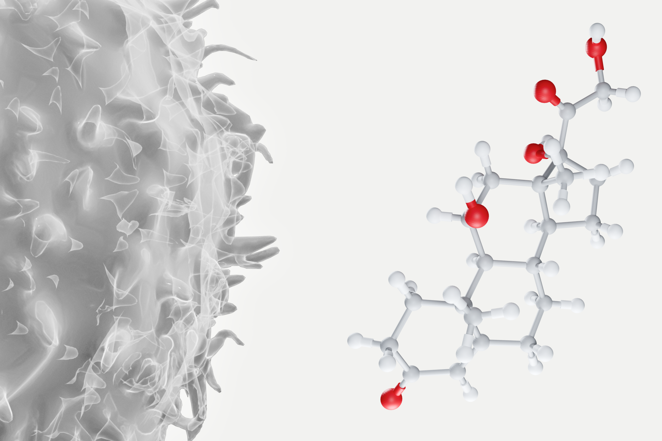 Cortisol and Inmune cell