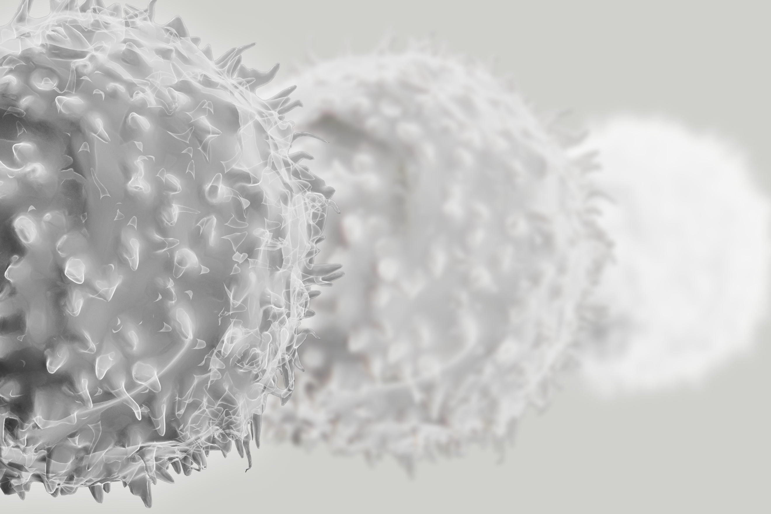 T-Cells symbolizing inmune aging