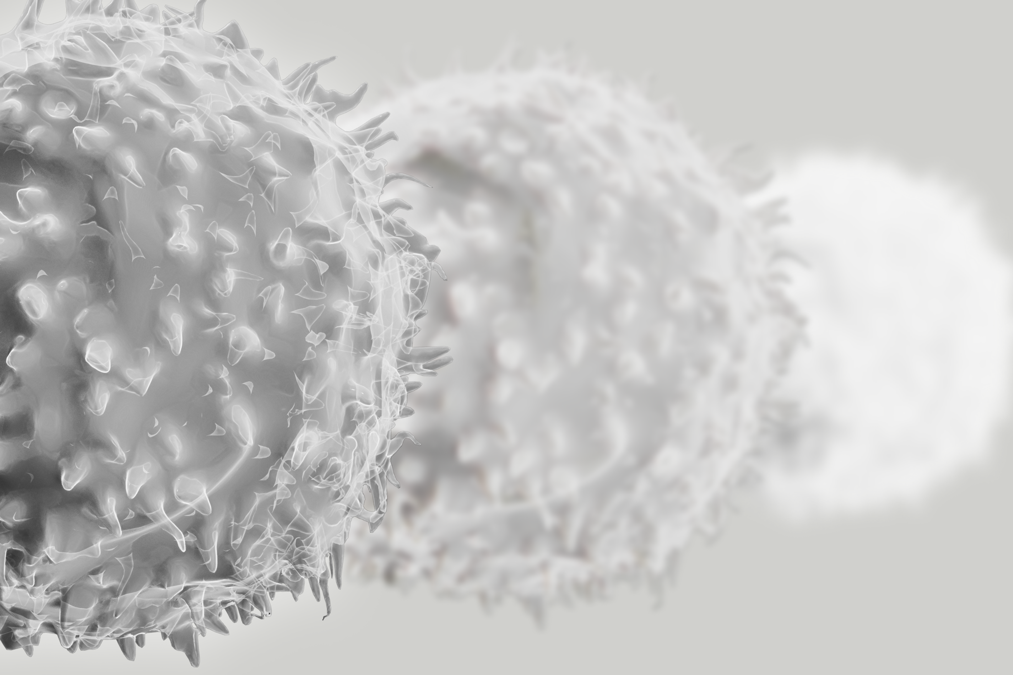 T-Cells symbolizing inmune aging
