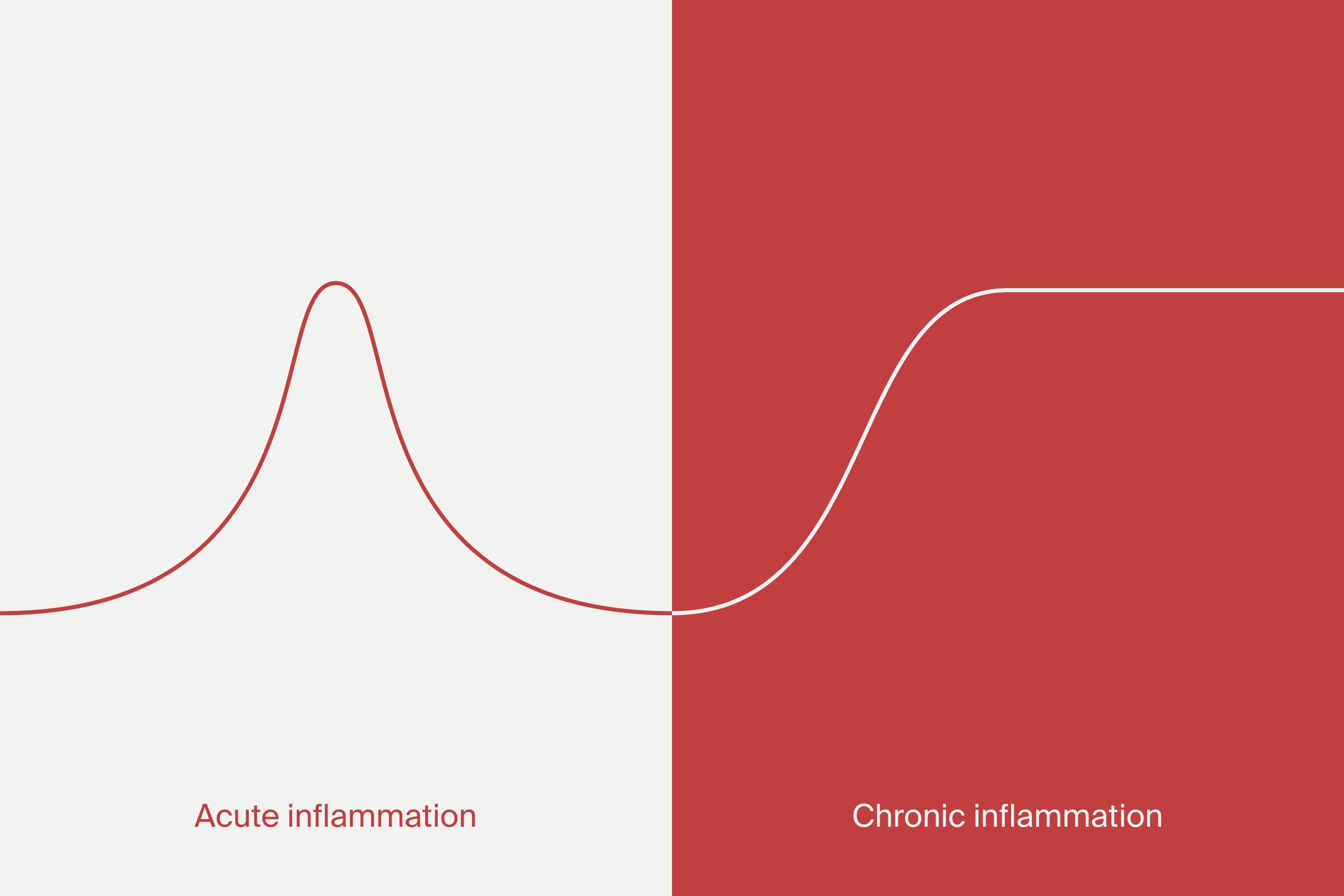 Acute inflammation versus chronic inflammation