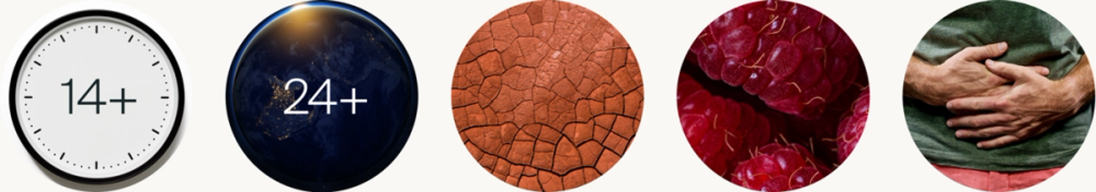 Fast for at least 14 hours, Consider extended fasting, Dry fasting autophagy, Add certain foods to speed up the process, Listen to your body