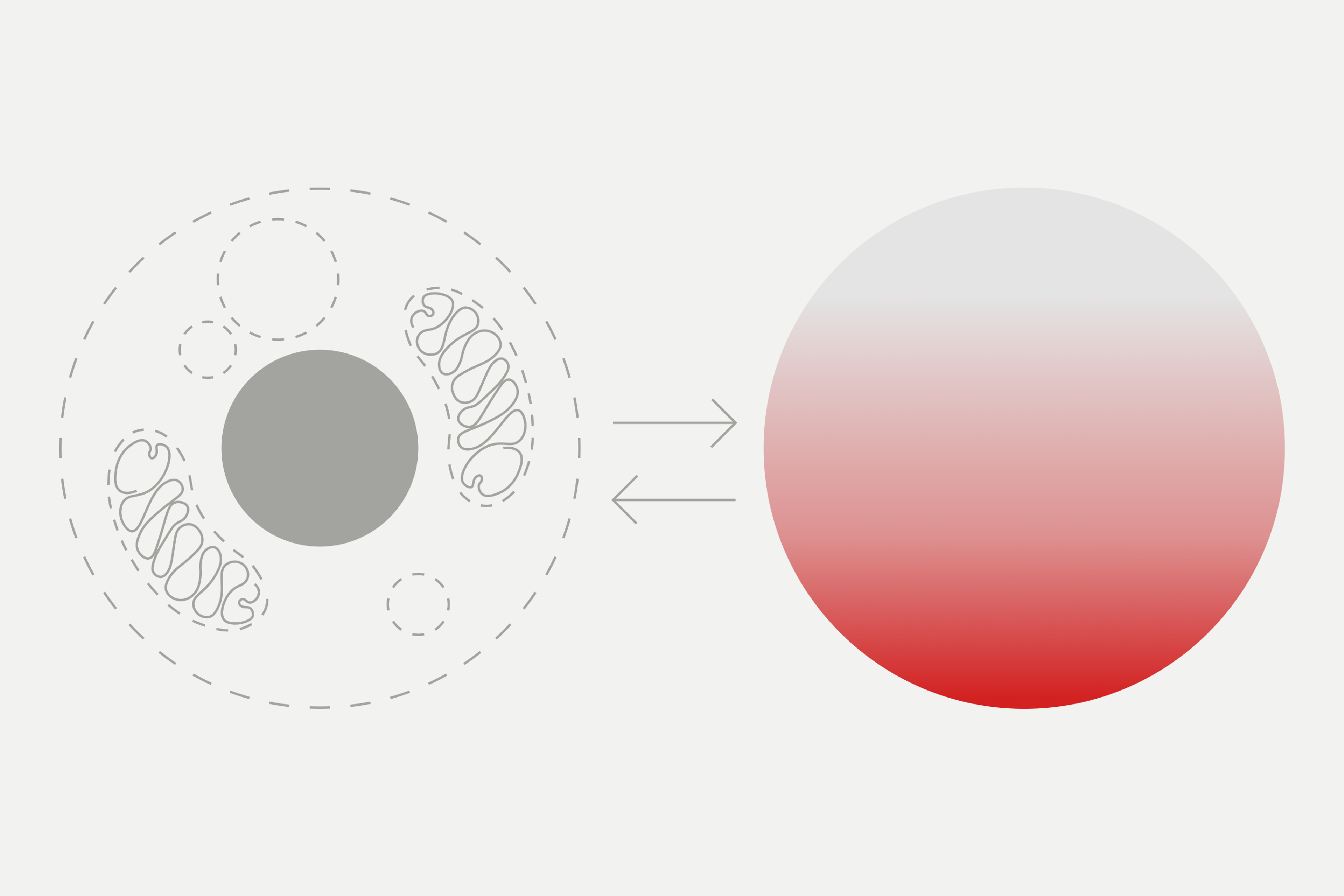 Autophagy and Inflammation
