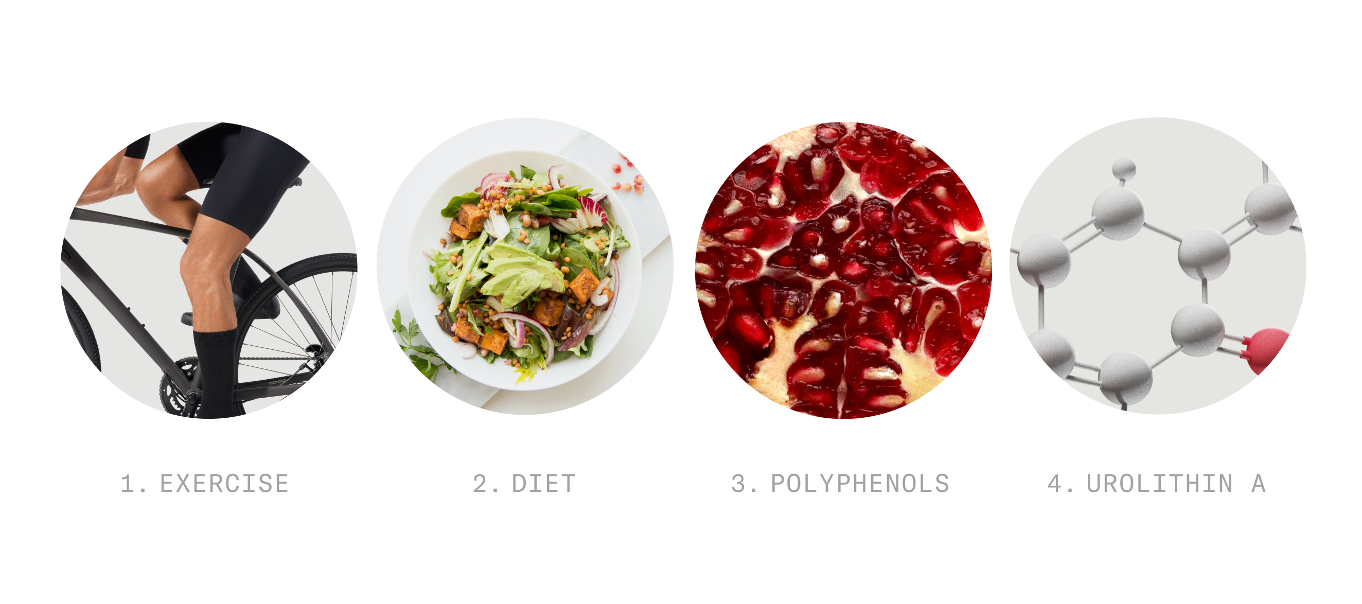 Autophagy inducing factors