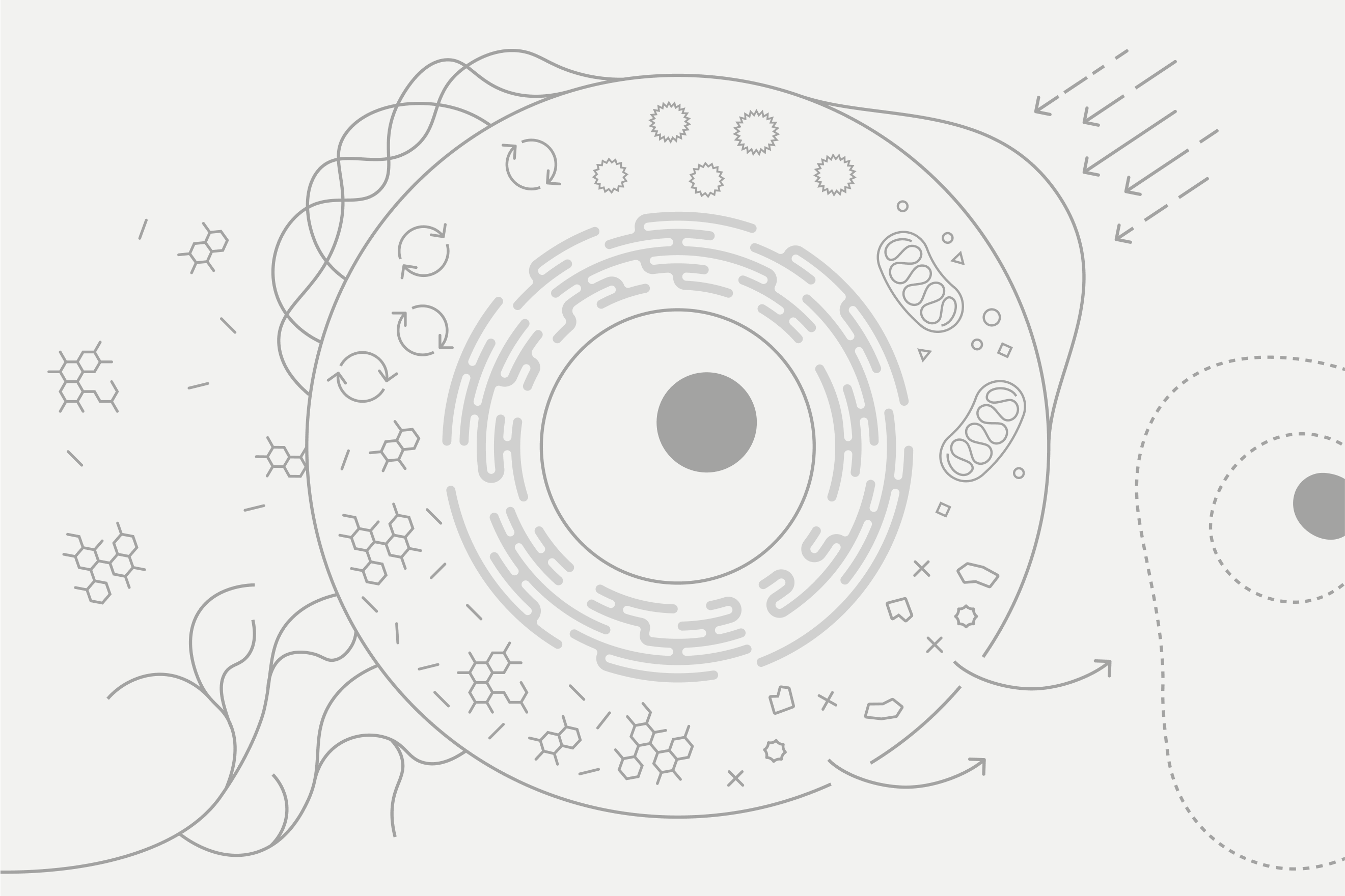 Functions of the cell