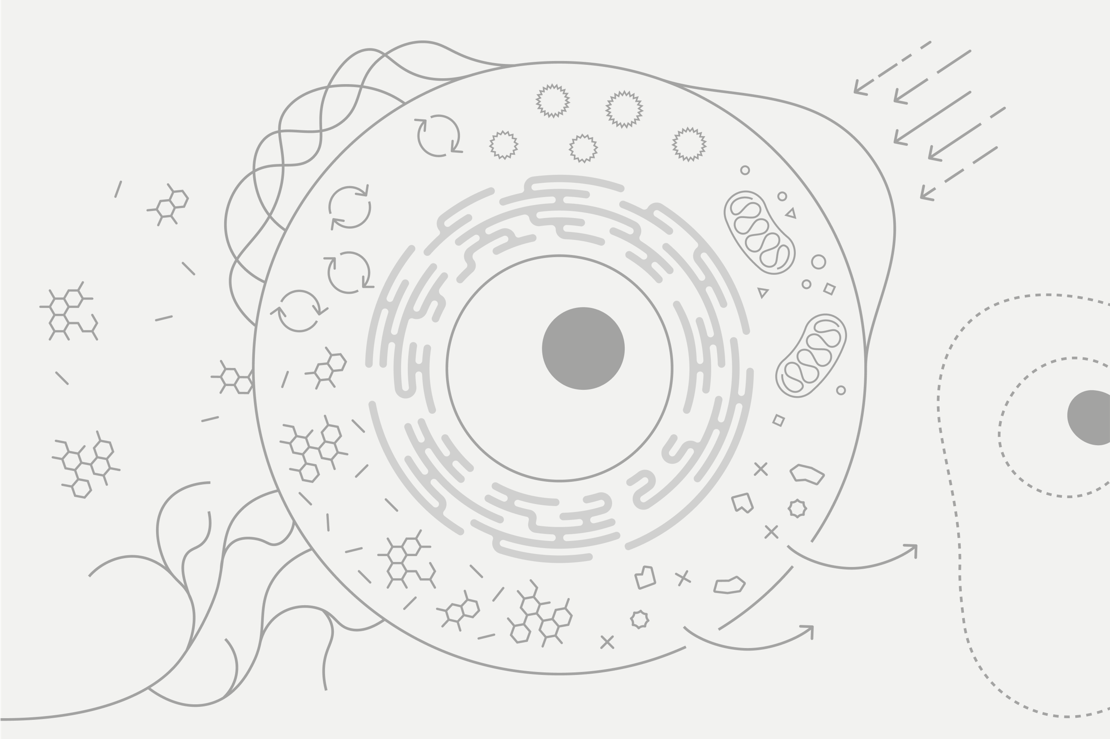 Functions of the cell