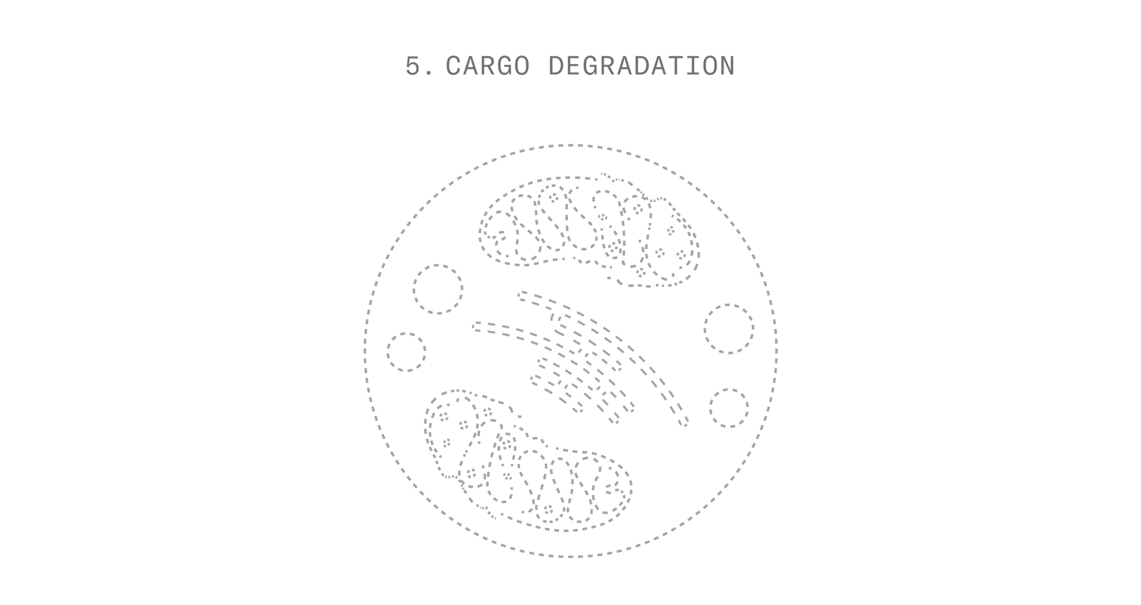Autophagy Stage 5