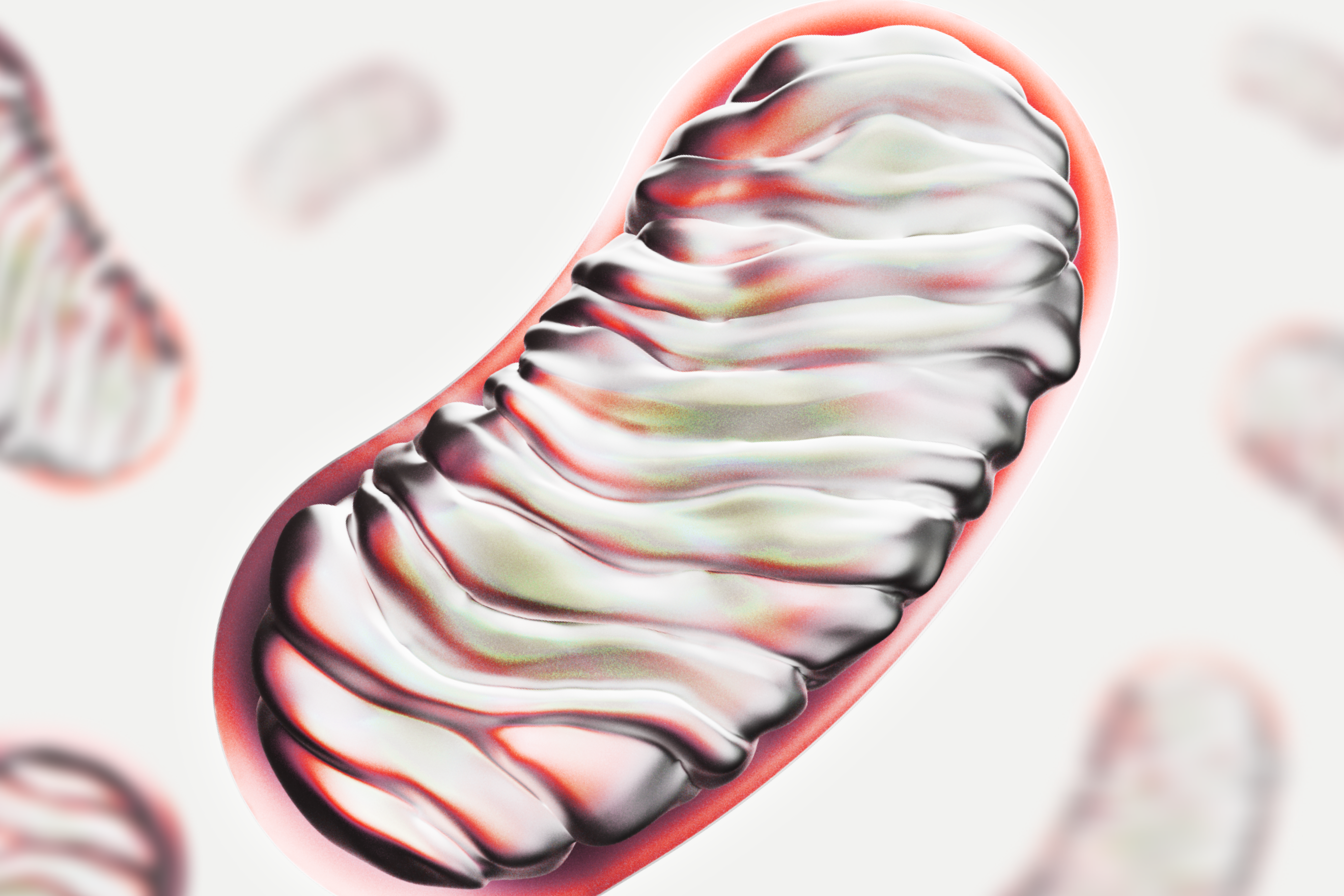 Mitochondria