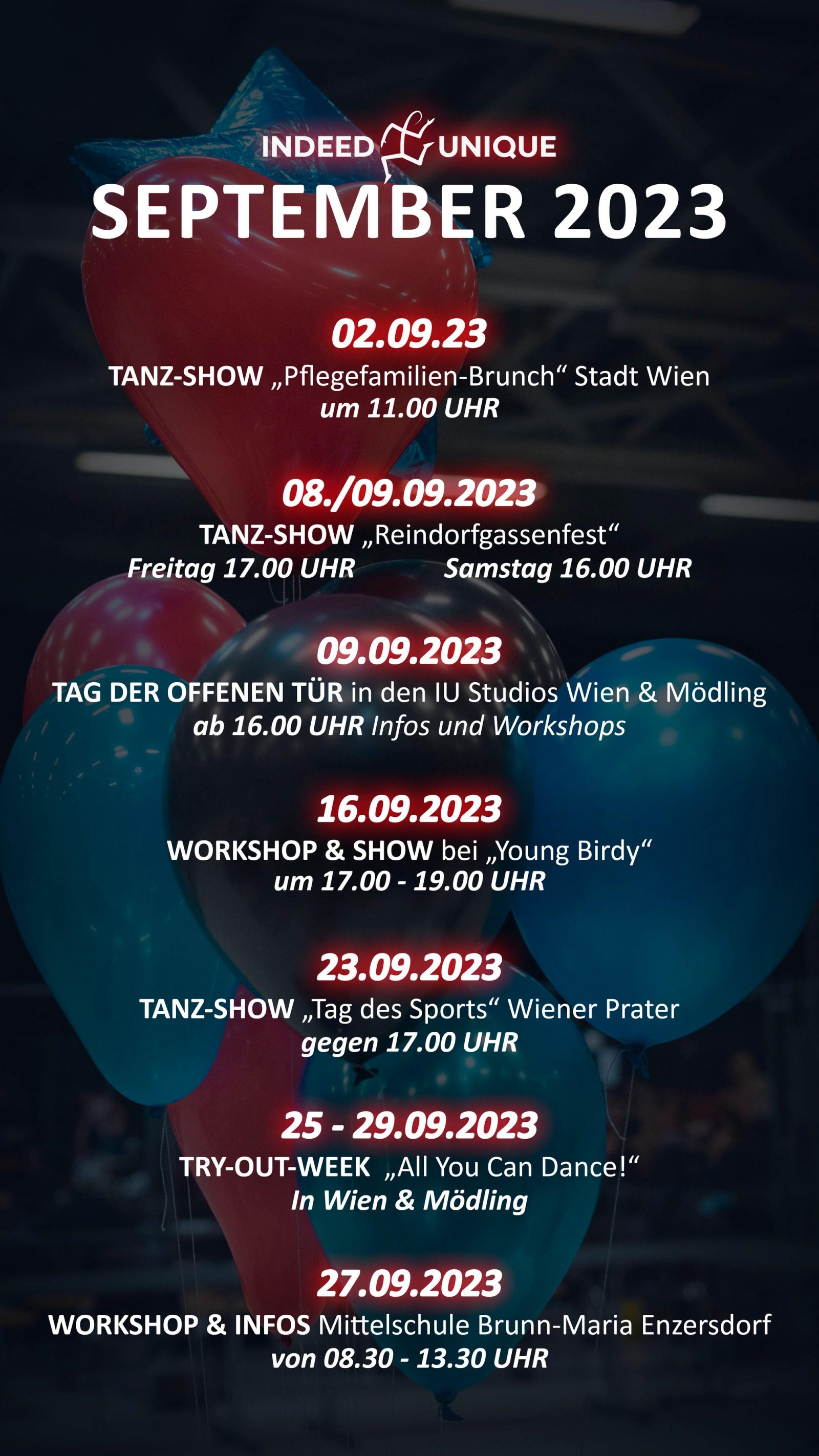 Foto zum Beitrag „Auftritt Übersicht“