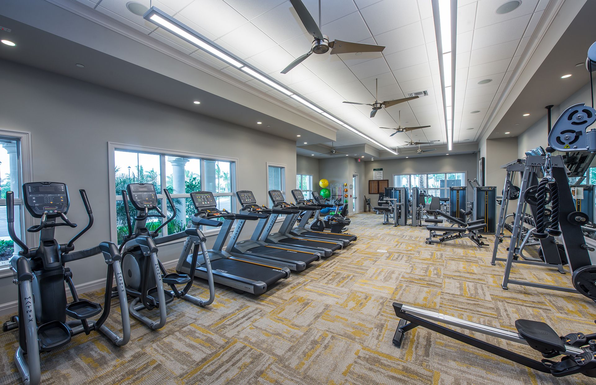 Plute Gym