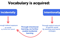 Graphic showing how we acquire vocabulary