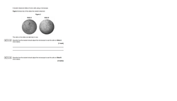 Onion cells science paper slide