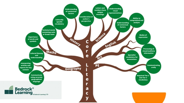 A diagram of disciplinary literacy explained through a tree and its branches