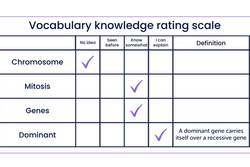 Vocabulary knowledge rating scale