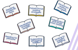 Strategies to boost disciplinary reading