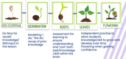 A model of flowers to show confidence breaking down complex writing tasks.