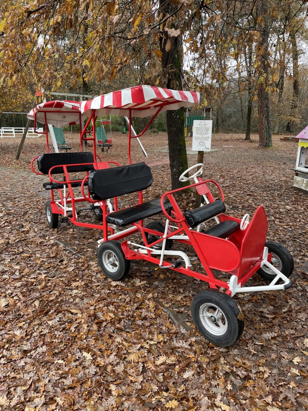 Petit train Rosalie
