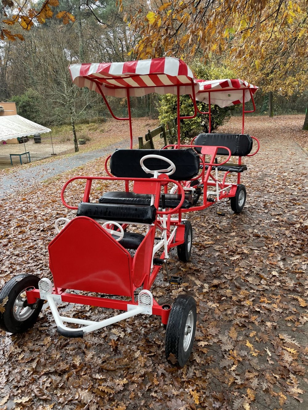Petit train Rosalie