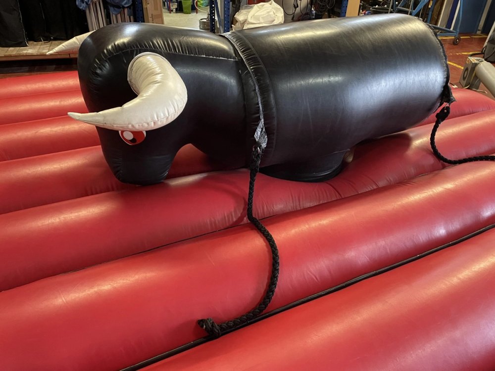 Taureau furieux