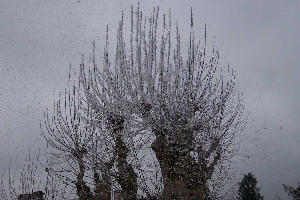 Canon à neige