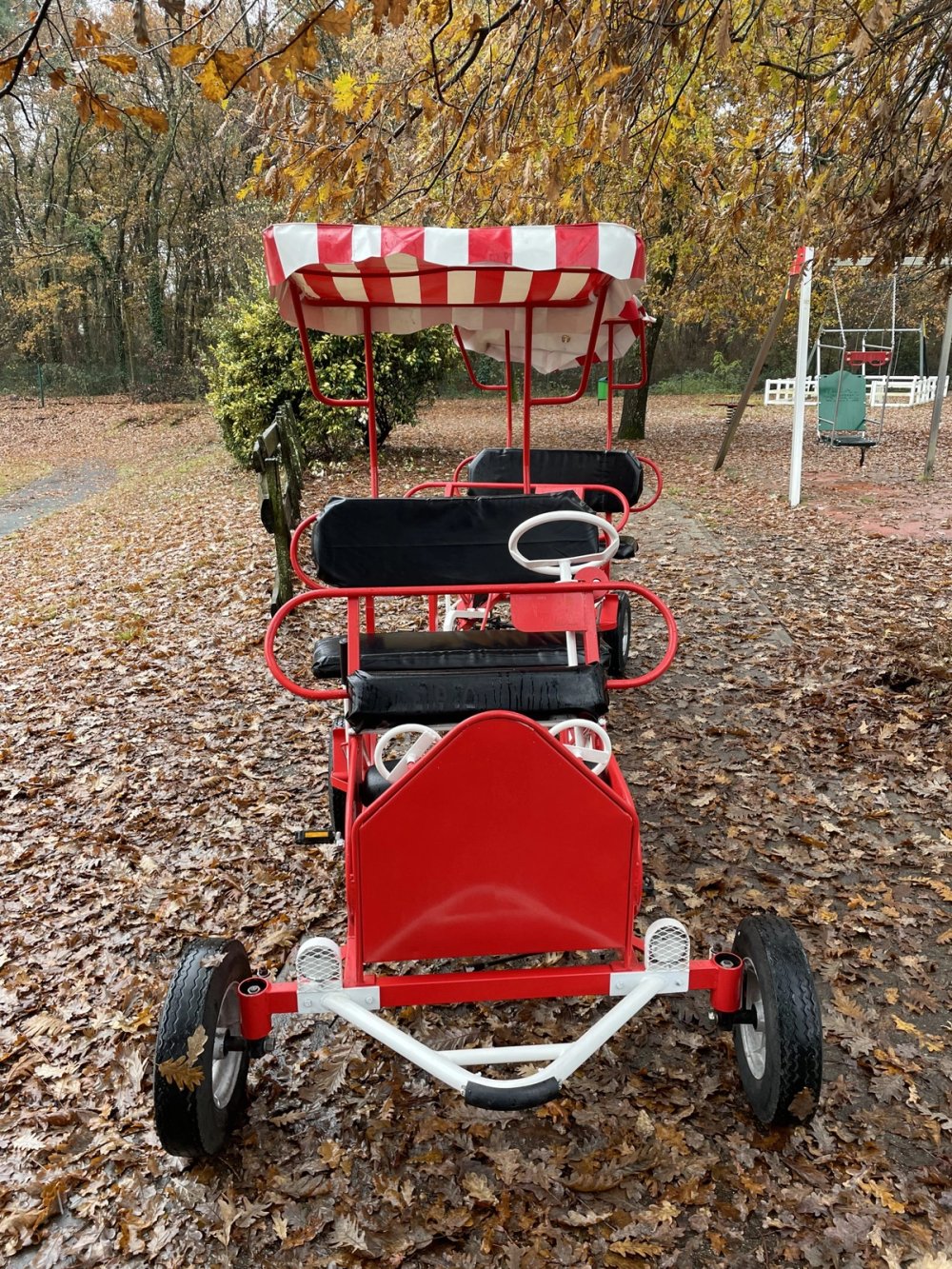 Petit train Rosalie