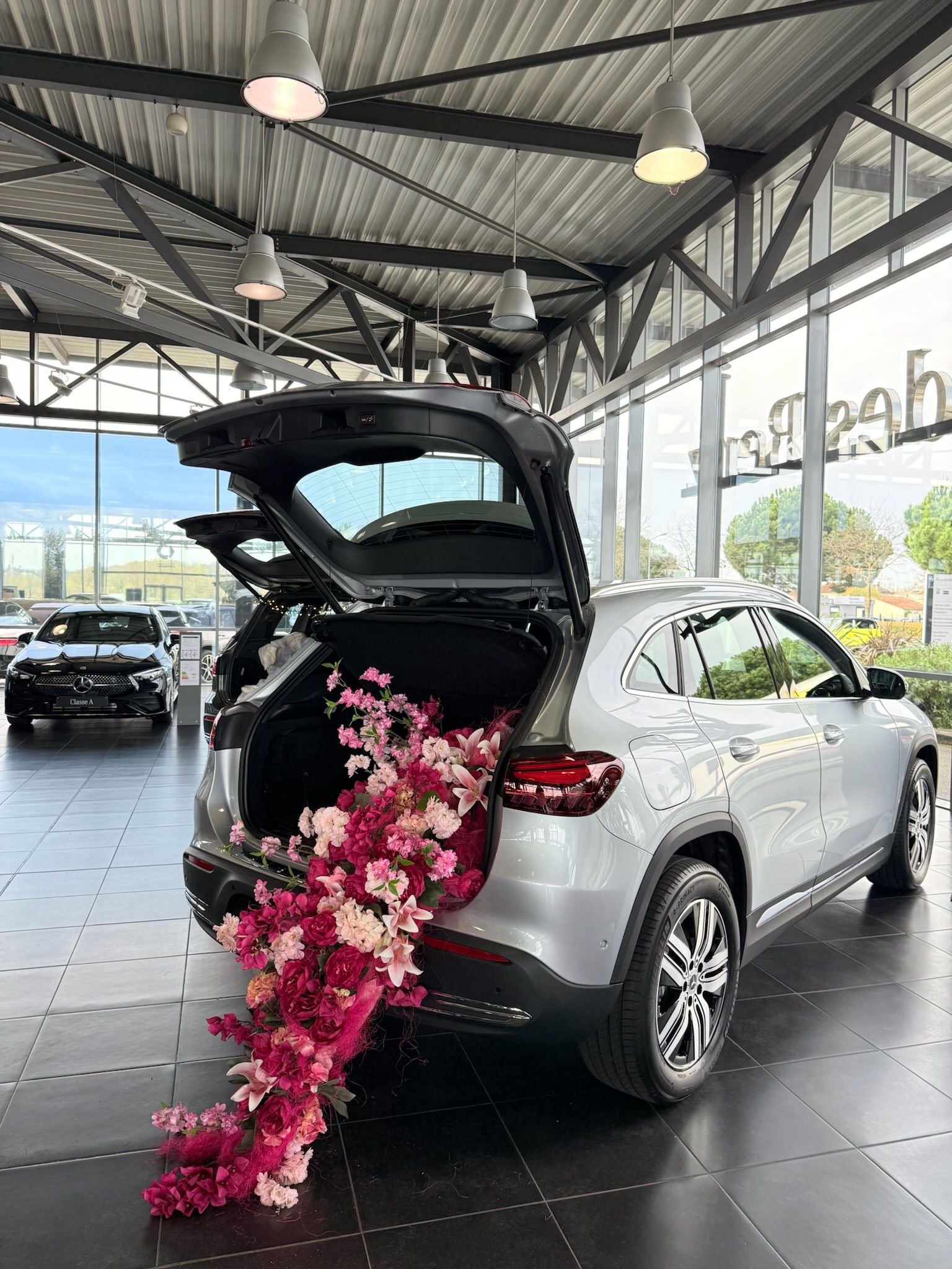 Cars Dating