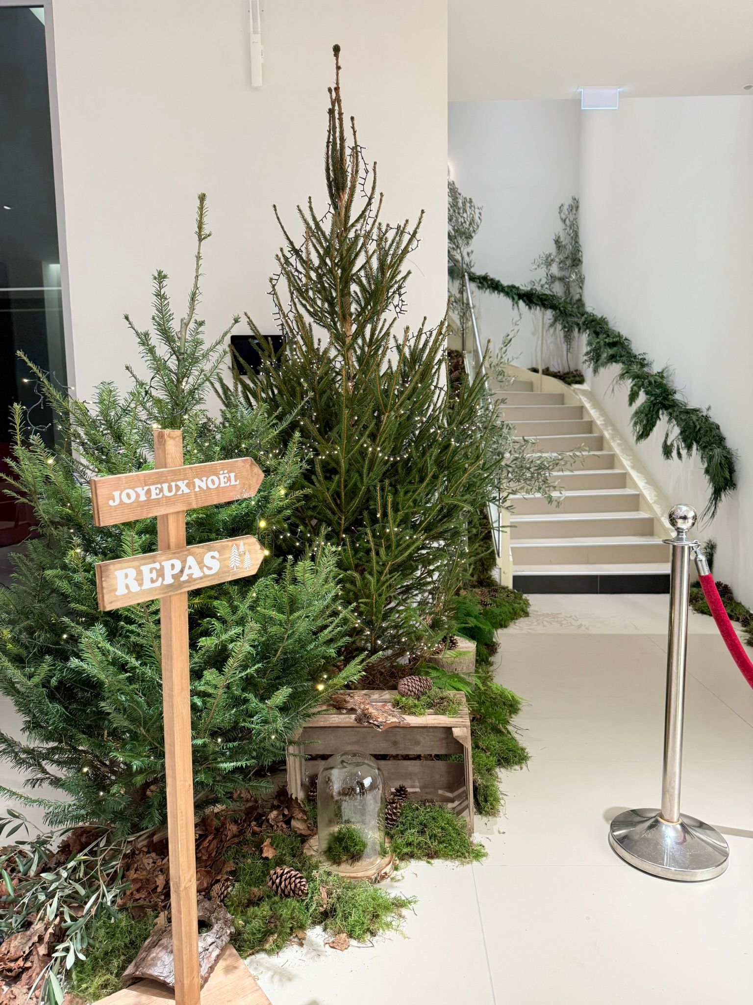 Arbre de Noël Rallye du Pyla x Ferrari