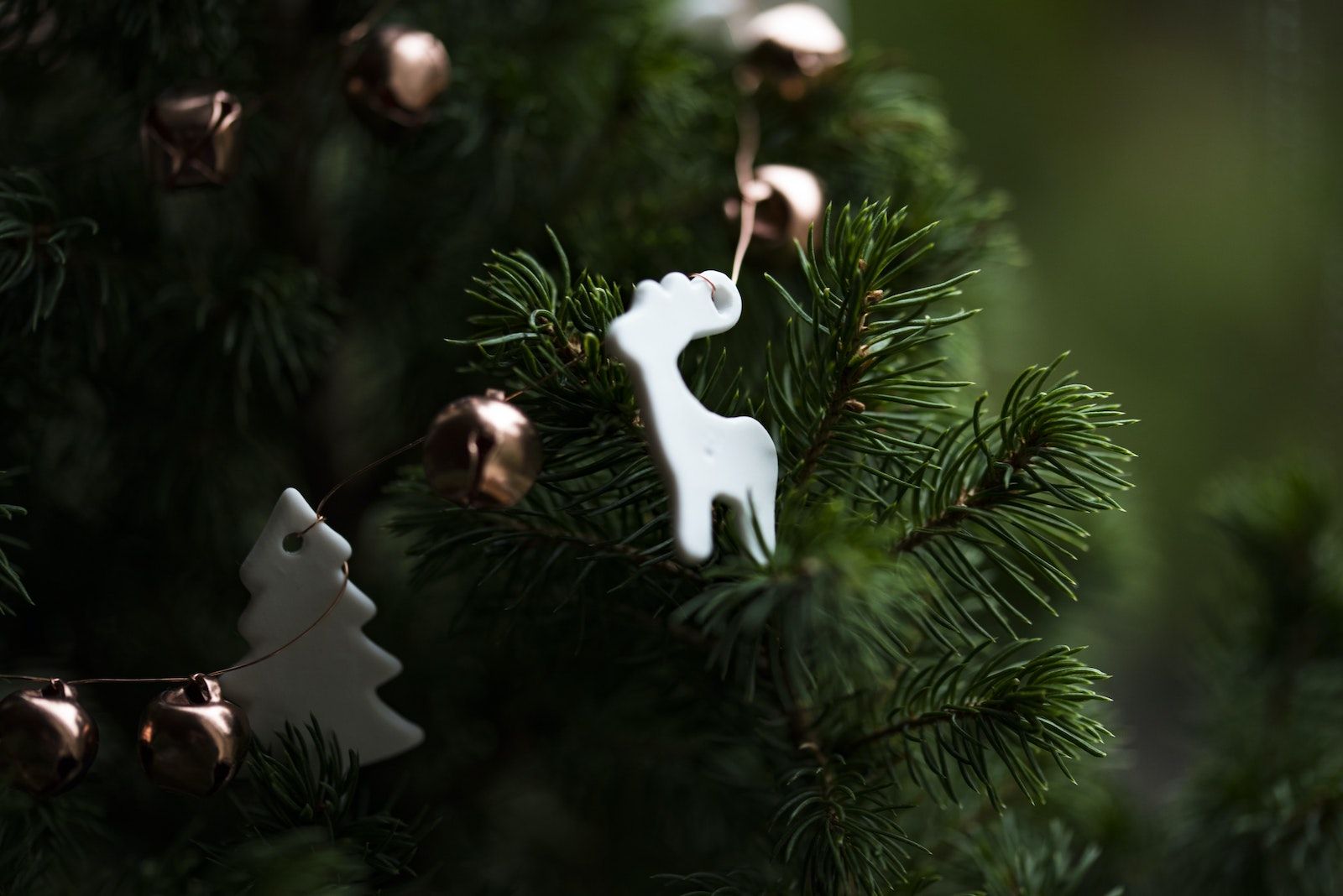 Noël