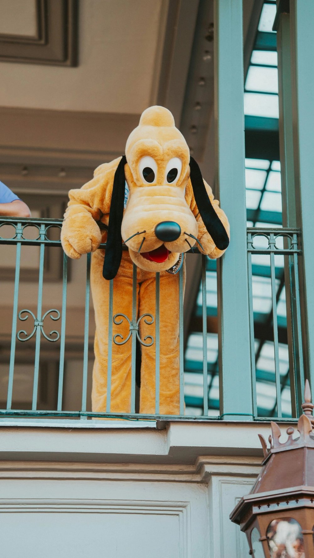 Animation mascotte
