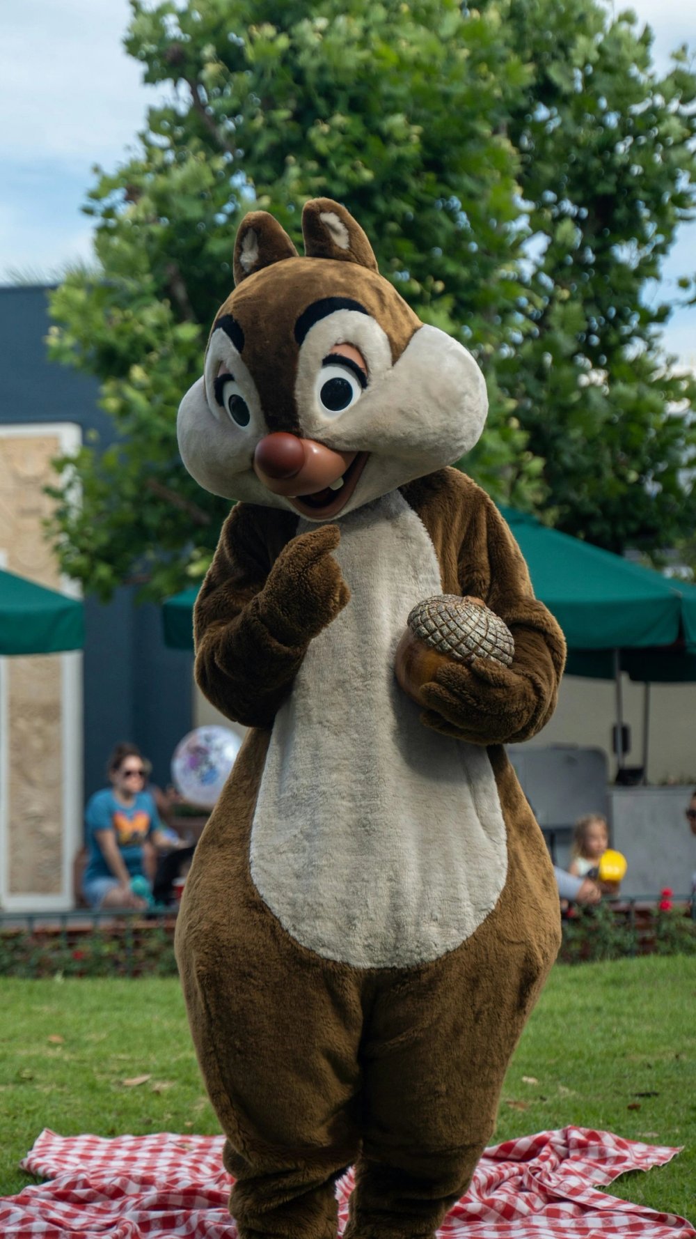 Costume de mascotte
