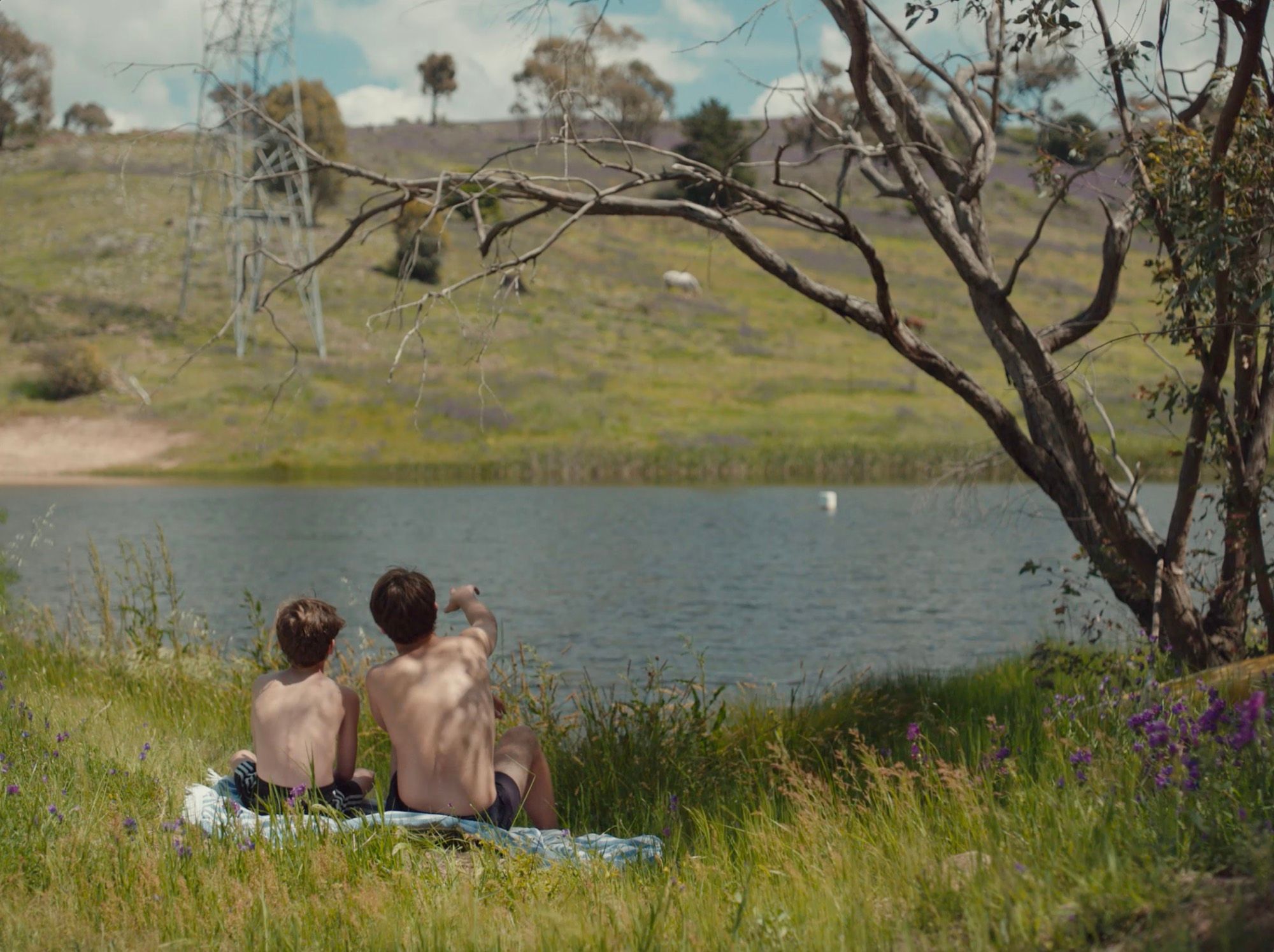 You Might Think: boys at a country swimming hole.