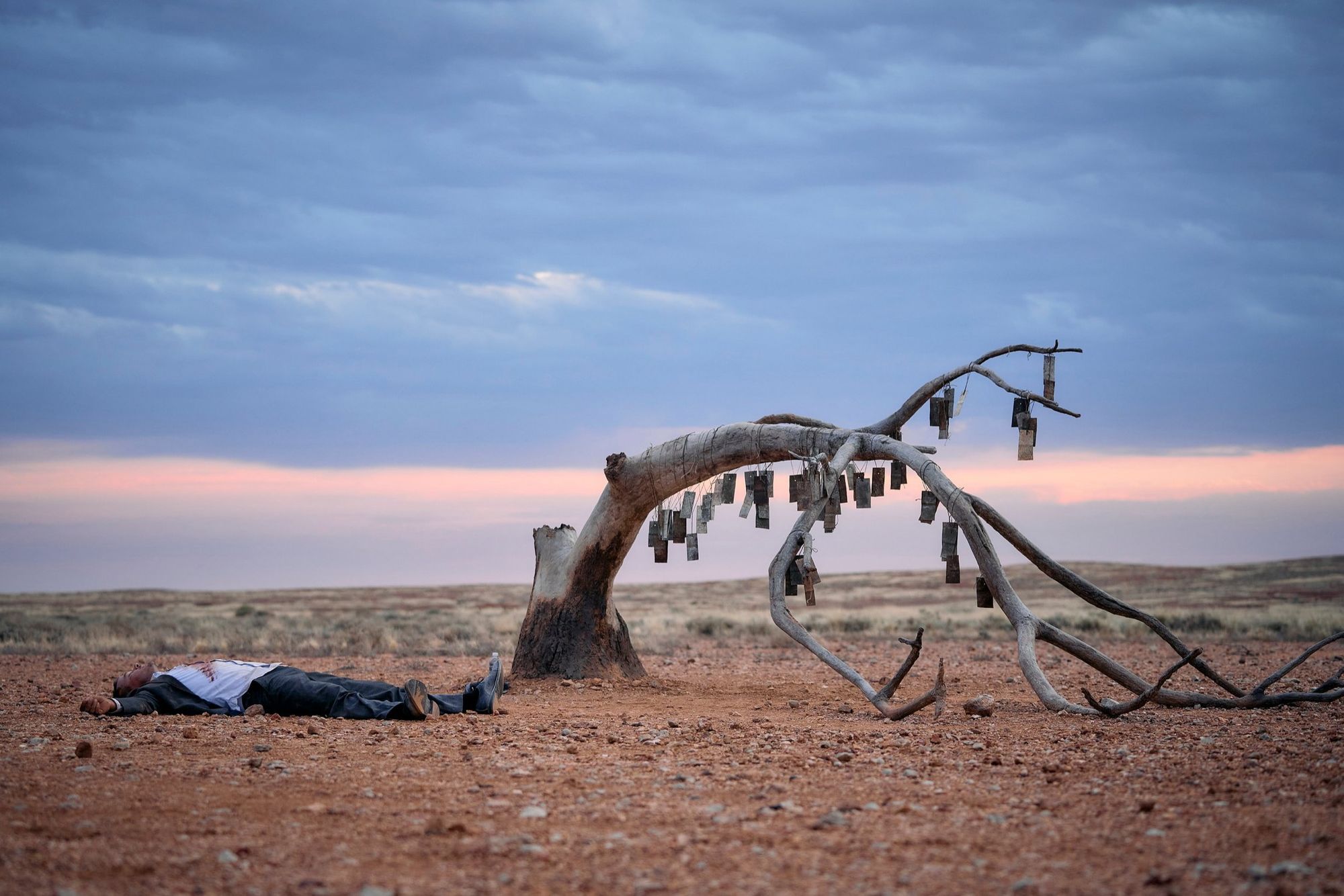 A dead tree hung with small signs on an outback plain at dusk; a man lies on the red earth beside it.