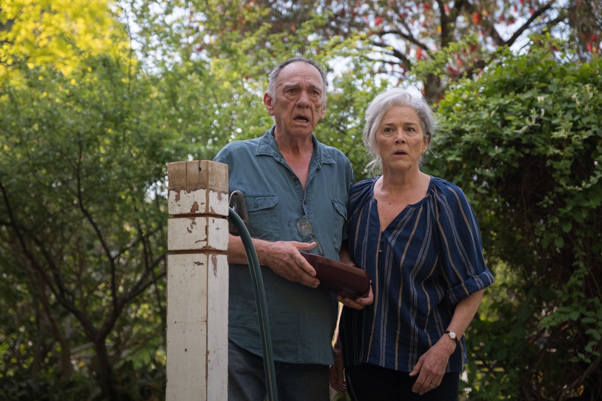 William Zappa and Sarah Peirse stand in a garden, stunned.