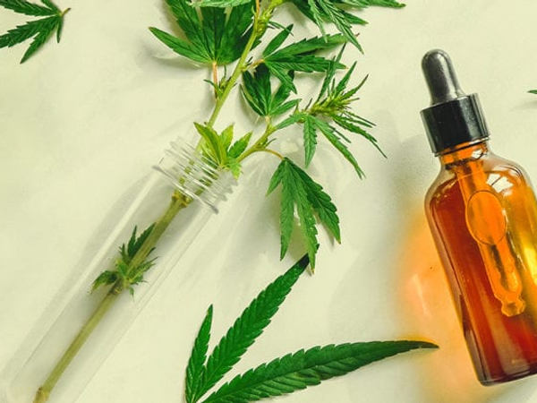 Square CBD Requirements and Payment Processing Restrictions