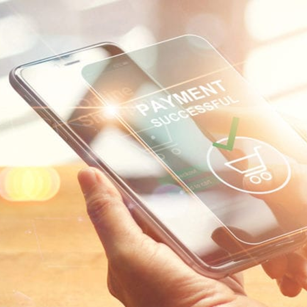 WordPress Payment Gateway and Credit Card Processing