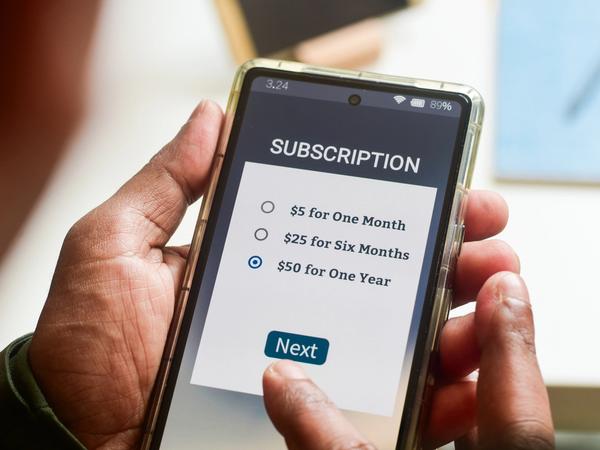 Subscription Payment Processing Solutions